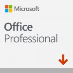 Office профессиональный 2019 ESD