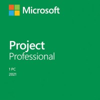 Project профессиональный 2021 ESD
