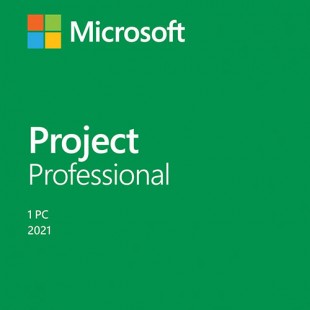Project профессиональный 2021 ESD