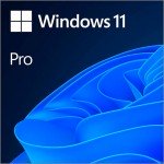 Windows 11 Професійна 64-bit ESD