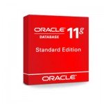 Oracle Database 11g Standard Edition