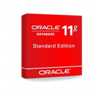 Oracle Database 11g Standard Edition