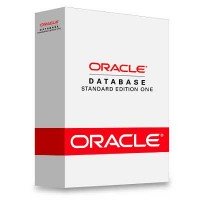 Oracle Database 11g Standard Edition One Oracle Database 11g Standard Edition One